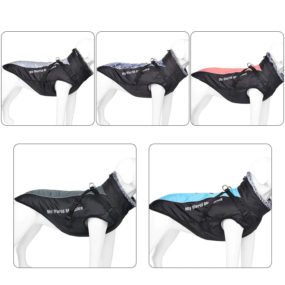 Hondenjas Winter Waterdicht – Warm en Reflecterend voor Middelgrote Honden - Hebbr