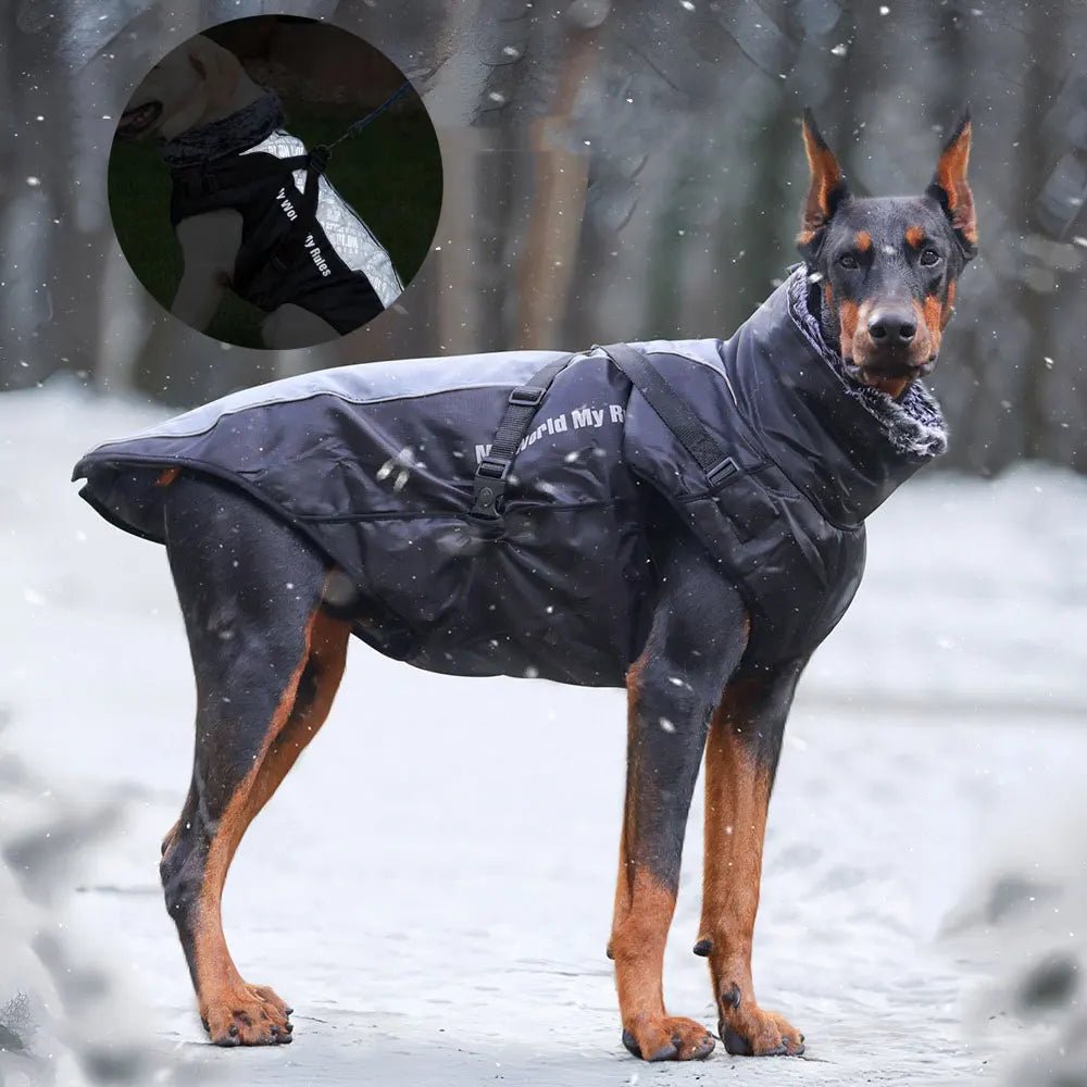 Hondenjas Winter Waterdicht – Warm en Reflecterend voor Middelgrote Honden - Hebbr