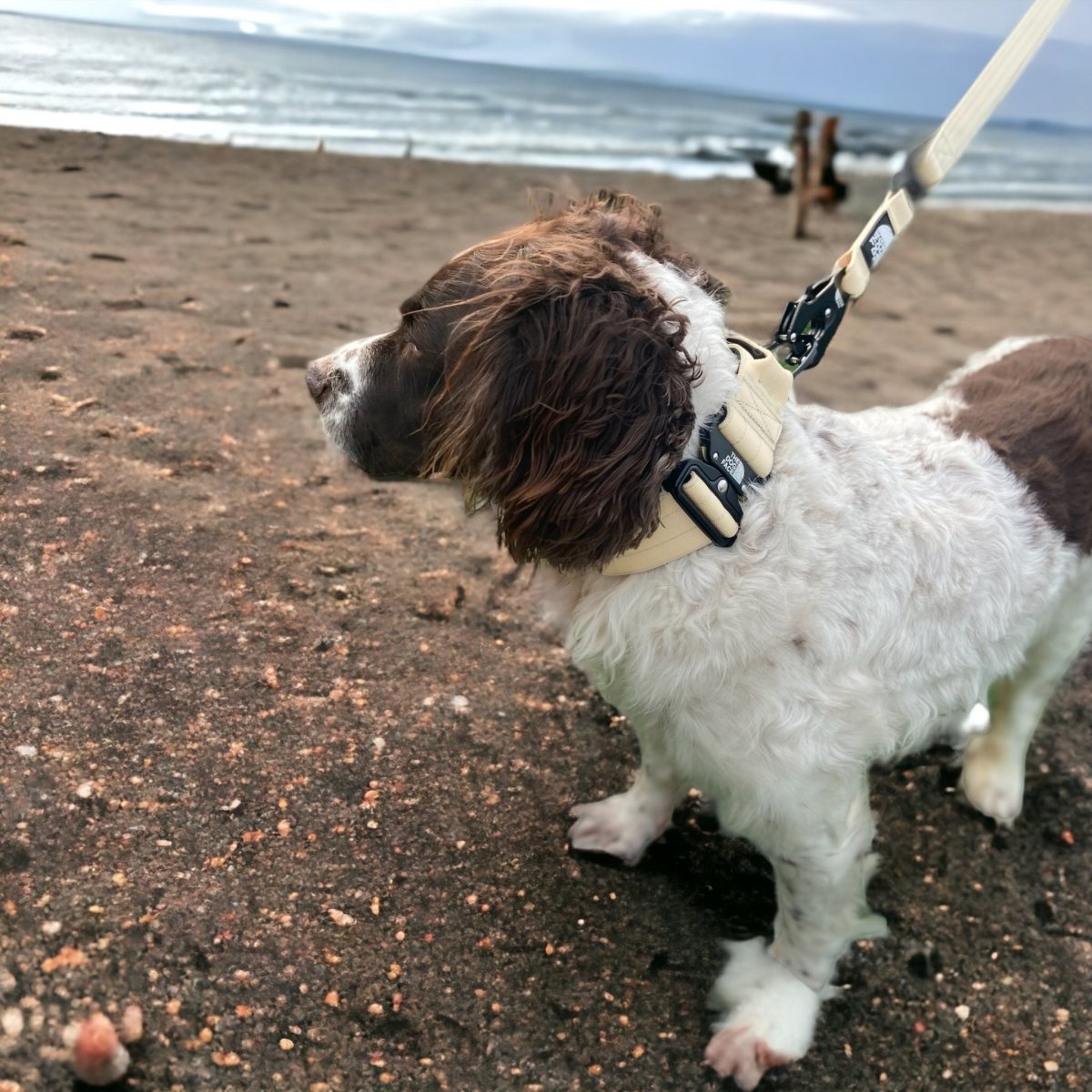 Hondenriem 1,5 m Nylon – Duurzaam en Comfortabel met Wartel Kaki - Hebbr