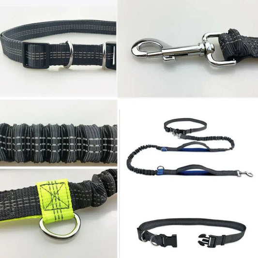 Hondenriem Handsfree 2,5 m Nylon – Schokabsorberend voor Joggen - Hebbr
