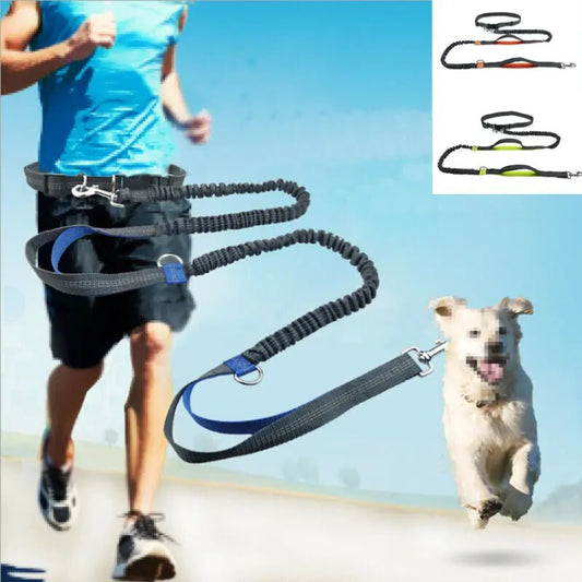 Hondenriem Handsfree 2,5 m Nylon – Schokabsorberend voor Joggen - Hebbr