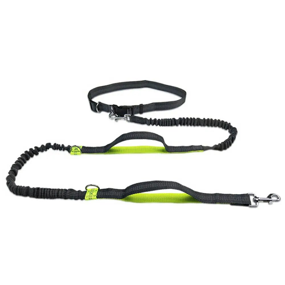 Hondenriem Handsfree 2,5 m Nylon – Schokabsorberend voor Joggen - Hebbr