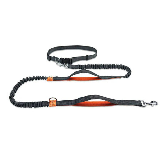 Hondenriem Handsfree 2,5 m Nylon – Schokabsorberend voor Joggen - Hebbr