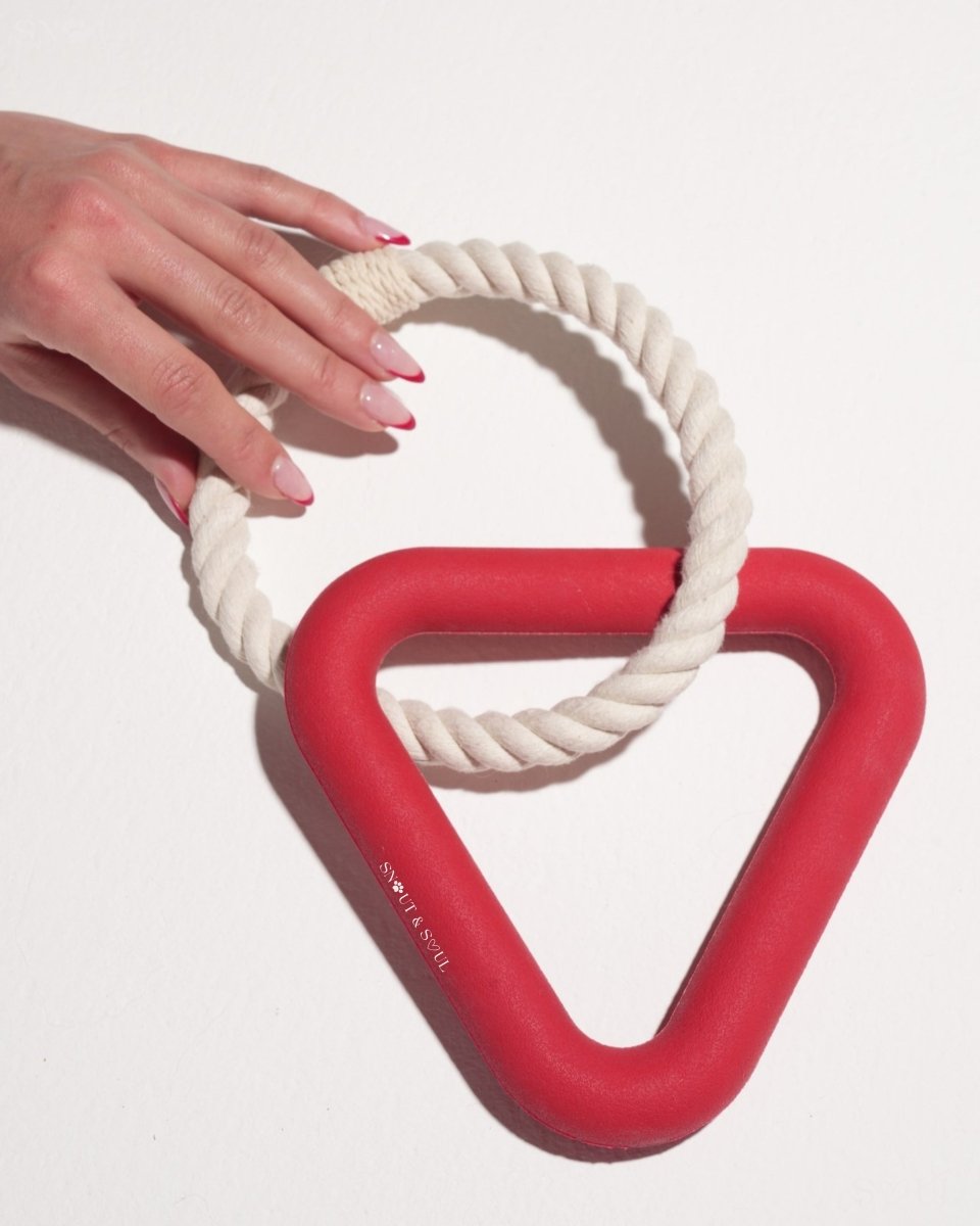 Hondenspeelset met Triangle Rope en Twisty Ball – Interactief Spel voor Honden - Hebbr