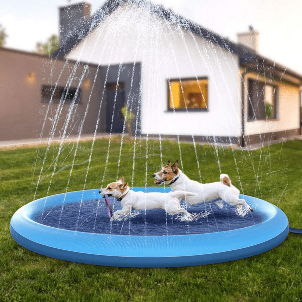 Hondensprinkler voor Spetterplezier en Verkoeling - Duurzaam PVC, Veilig voor Kinderen en Huisdieren - Hebbr