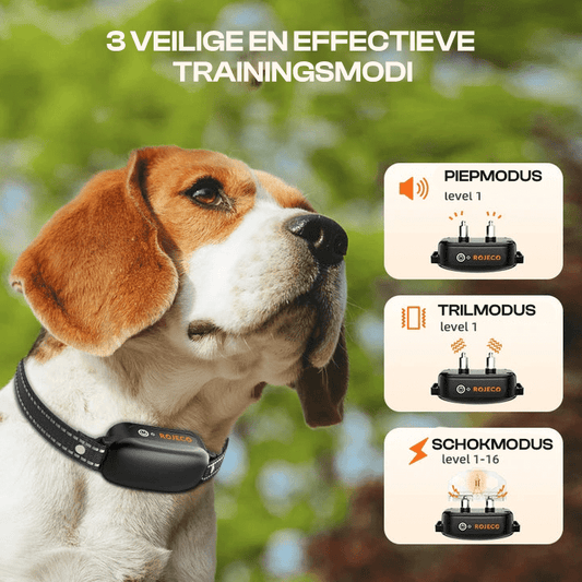 Hondentrainingshalsband 1000 m Waterdicht – Effectieve Training 4–55 kg - Hebbr
