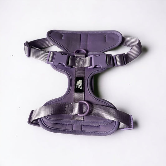 Hondentuig S/M/L Oranje – Verstelbaar Nylon met Reflectie en Gewatteerd Comfort - Hebbr