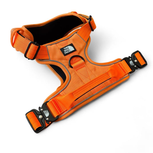 Hondentuig S/M/L Oranje – Verstelbaar Nylon met Reflectie en Gewatteerd Comfort - Hebbr