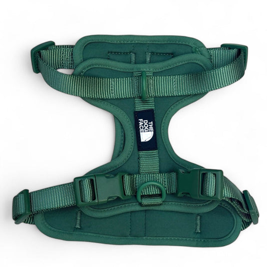 Hondentuig S/M/L Oranje – Verstelbaar Nylon met Reflectie en Gewatteerd Comfort - Hebbr
