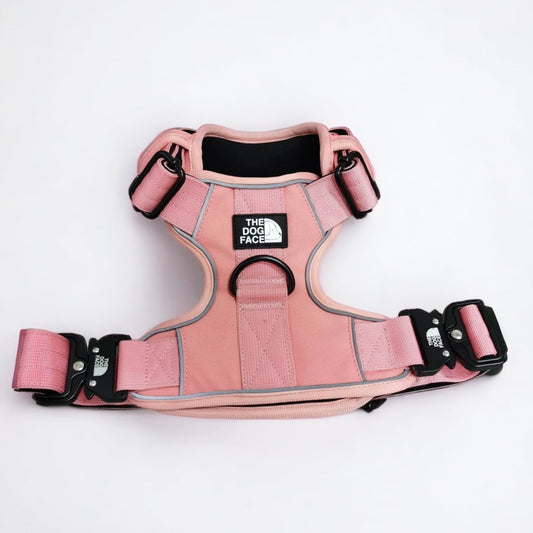 Hondentuig S/M/L Oranje – Verstelbaar Nylon met Reflectie en Gewatteerd Comfort - Hebbr