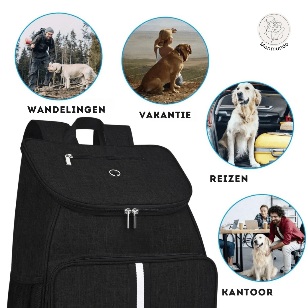 Hondereistas voor Zorgeloos Reizen met je Hond – Waterdicht, Ruime Opbergruimte & Eetmatje - Hebbr