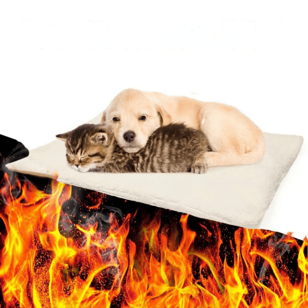 Huisdierendeken 60×45 cm – Zelfverwarmend voor Kleine en Middelgrote Huisdieren Beige - Hebbr