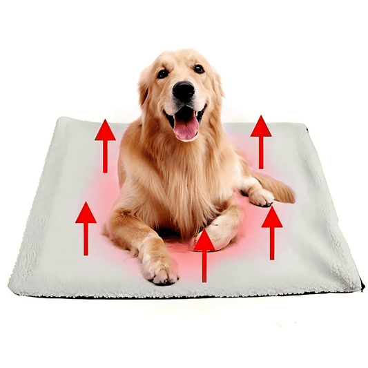 Huisdierendeken 60×45 cm – Zelfverwarmend voor Kleine en Middelgrote Huisdieren Beige - Hebbr