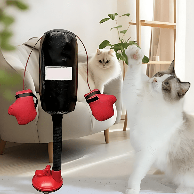 Interactief Kattenspeelgoed - Boxspelletje voor Katten, Stimuleert Jachtinstinct en Mentale Activiteit - Hebbr