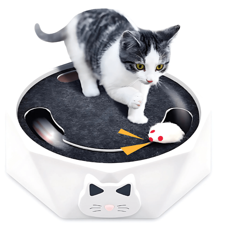 Interactief Muisspeelgoed voor Katten met Realistische Bewegingen en Kratzone - Twee Snelheden - Hebbr