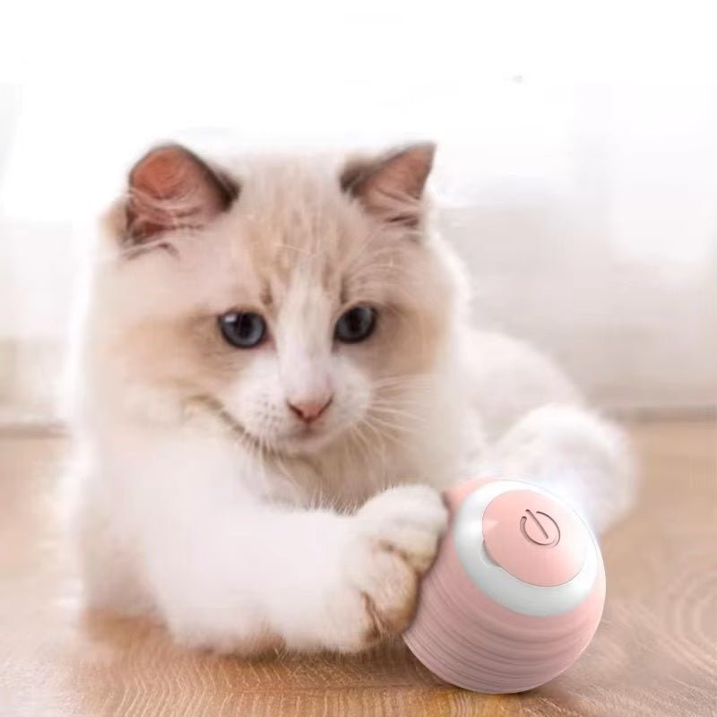Interactief Speelgoed Voor Honden En Katten - Duurzaam, Oplaadbaar Met 6 Uur Speelplezier - Hebbr