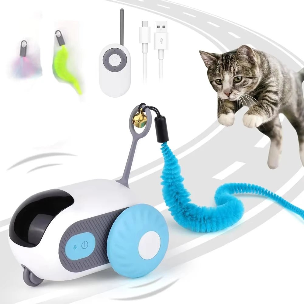Interactief Speelgoed voor Katten en Honden - Afstandsbediening met 2 Speelmodi en Automatische Beweging - Hebbr