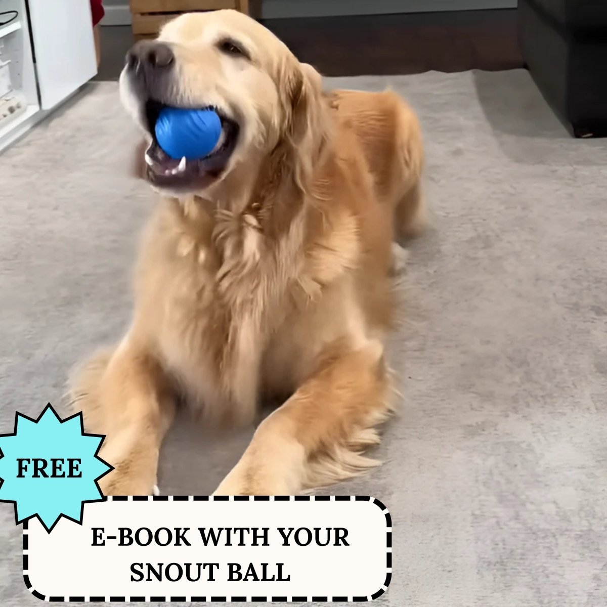 Interactieve Hondenspeelbal – Veilig en Stil voor Pups en Volwassen Honden - Hebbr