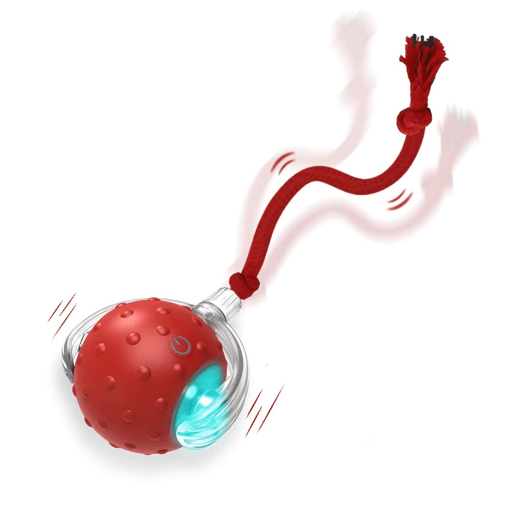 Interactieve Speelbal voor Katten met Aanpasbare Speelstanden en Obstakeldetectie - Hebbr