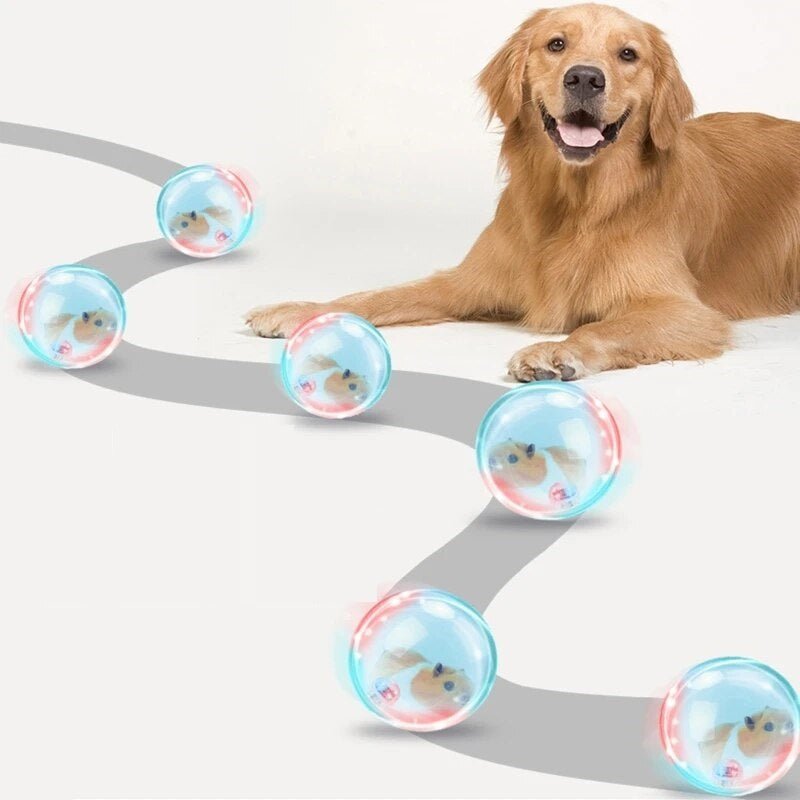 Interactieve Spelbal Voor Katten En Honden - Transparant, Ø 10 Cm, Diervriendelijk Materiaal - Hebbr