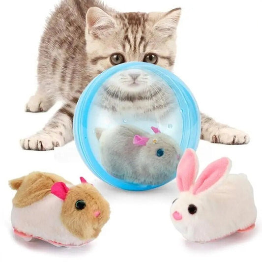 Interactieve Spelbal Voor Katten En Honden - Transparant, Ø 10 Cm, Diervriendelijk Materiaal - Hebbr