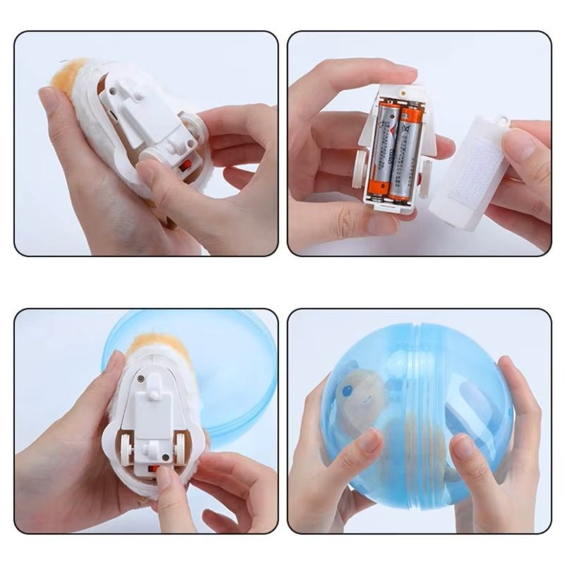 Interactieve Spelbal Voor Katten En Honden - Transparant, Ø 10 Cm, Diervriendelijk Materiaal - Hebbr