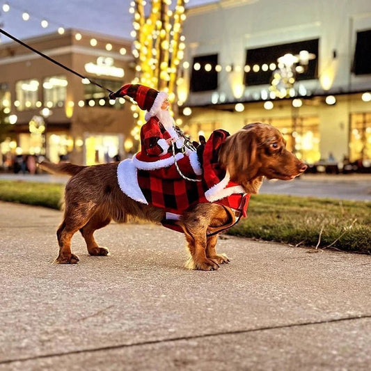 Karo Kerstman Hondenkostuum | Verstelbaar, Ademend Katoen voor Kleine tot Grote Honden en Katten - Hebbr