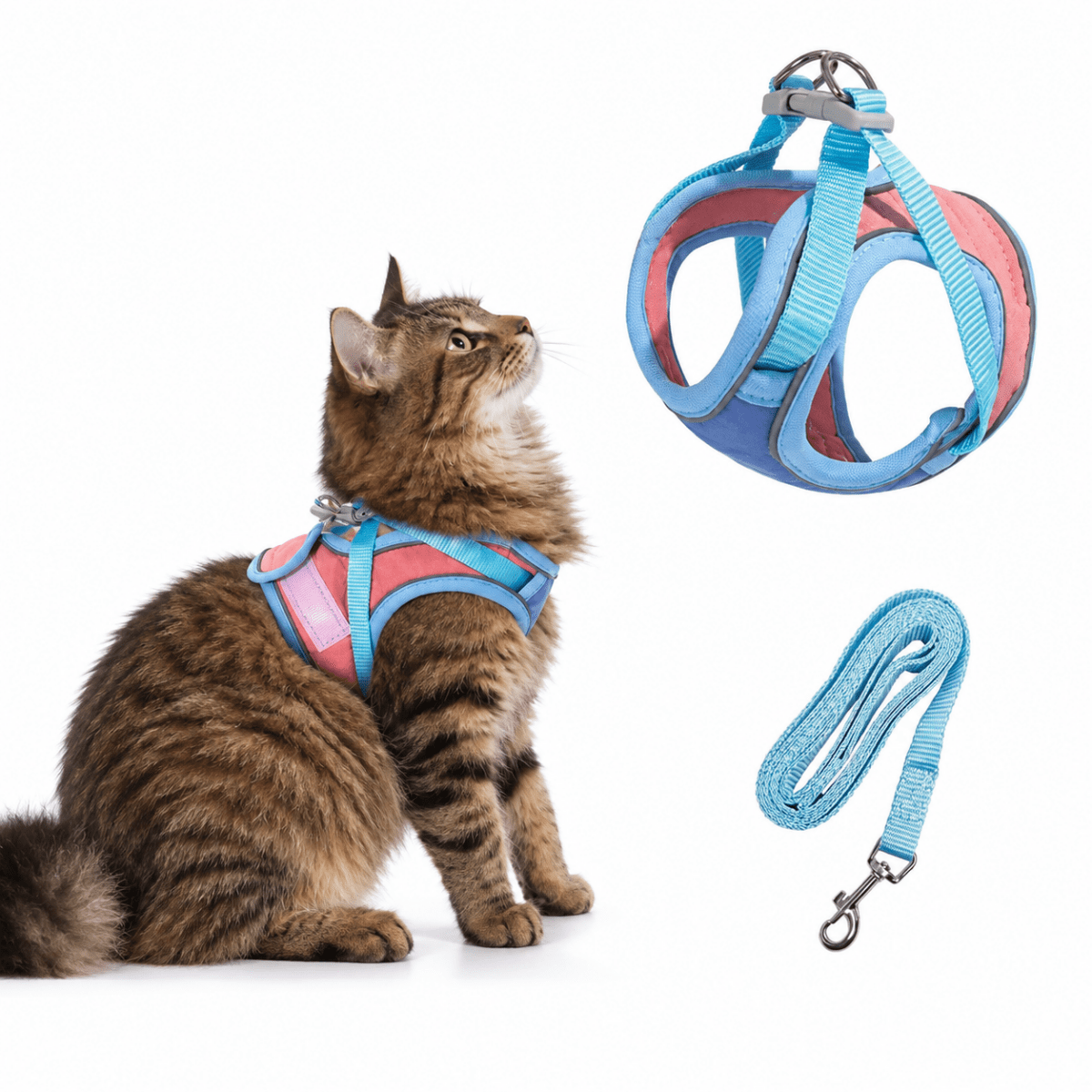 Kato Kattenharnas | Veilig Vest-Design, Ademend Mesh, Reflecterende Details - Hebbr