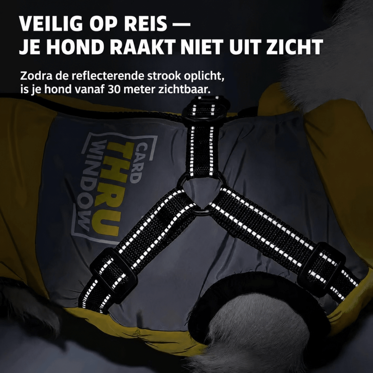 Katoenen Hondenjas - Hebbr