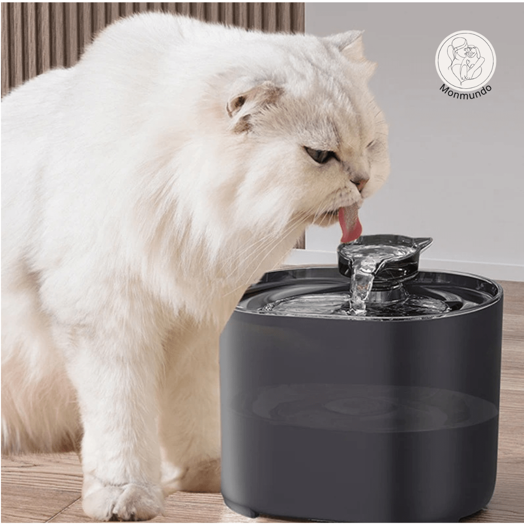 Katten Drinkfontein - Elektrische Fontein voor Katten met Stil Design & Altijd Vers Water - Hebbr