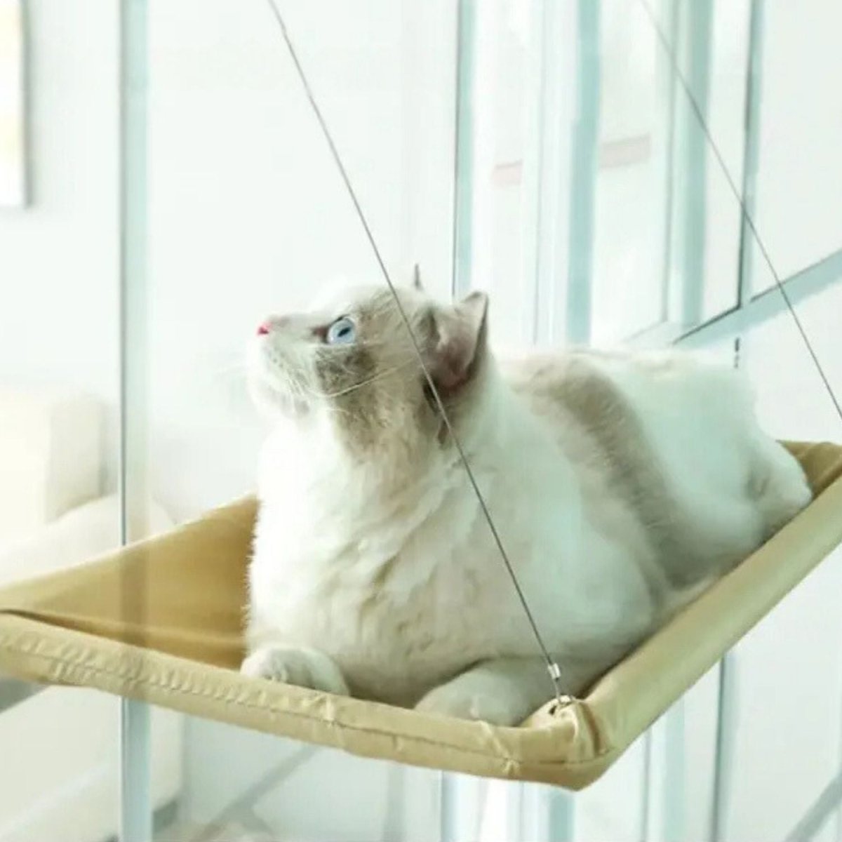 Katten Hangmat voor het Raam - Zacht, Afneembaar en Wasbaar, Tot 22 kg - Hebbr