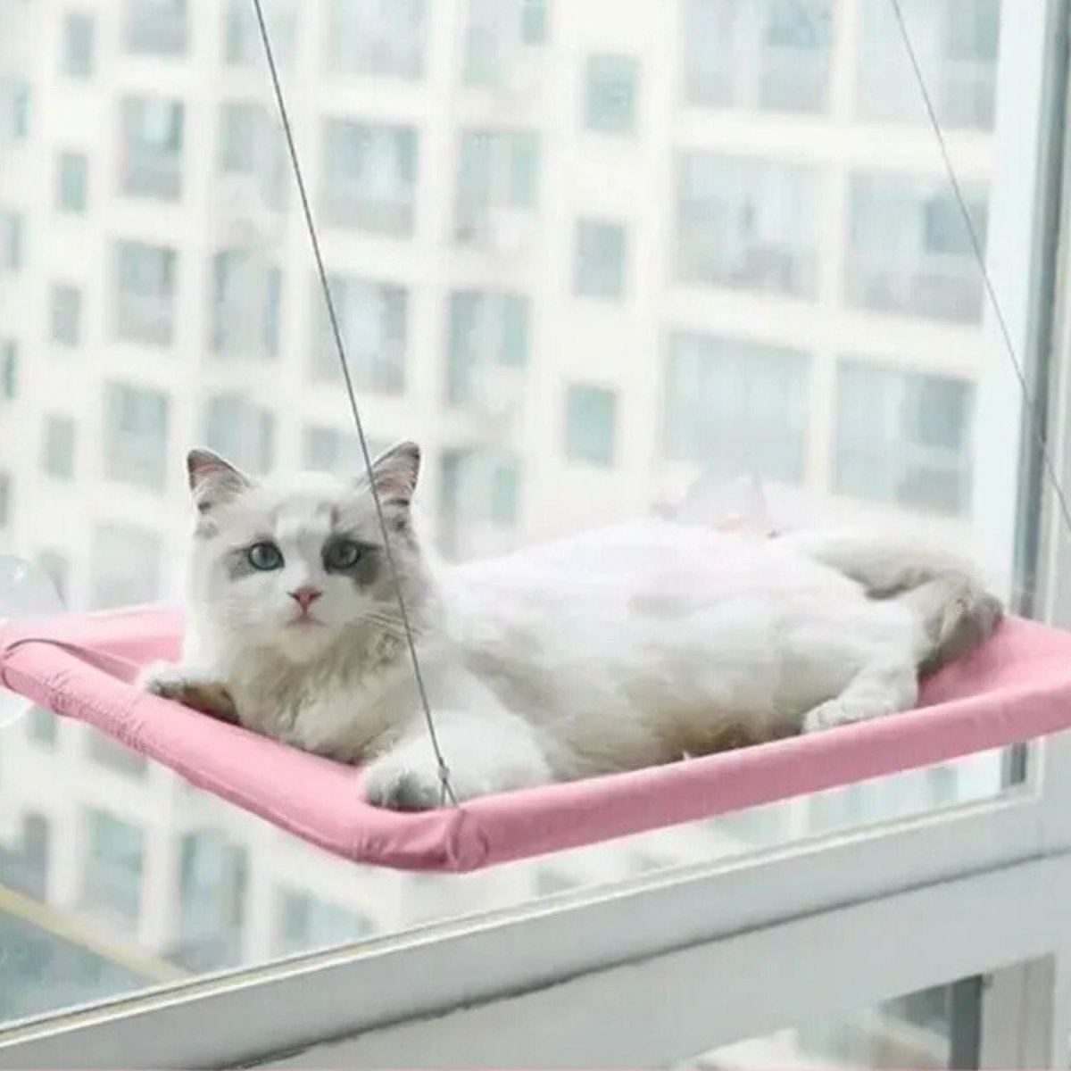 Katten Hangmat voor het Raam - Zacht, Afneembaar en Wasbaar, Tot 22 kg - Hebbr
