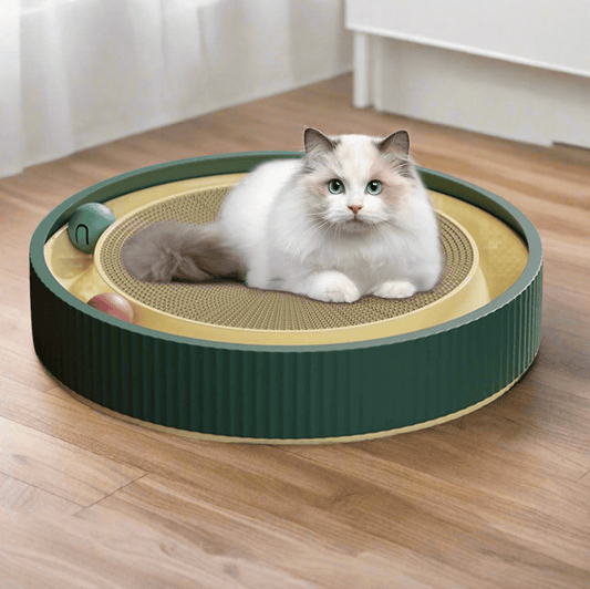 Kattenspeelgoed Glace - Duurzaam krabmeubel met interactieve speelbal voor binnengebruik - Hebbr