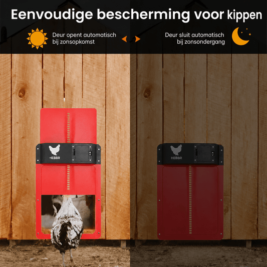 Kippenluik | Automatisch met Lichtsensor, Weerbestendig - Hebbr