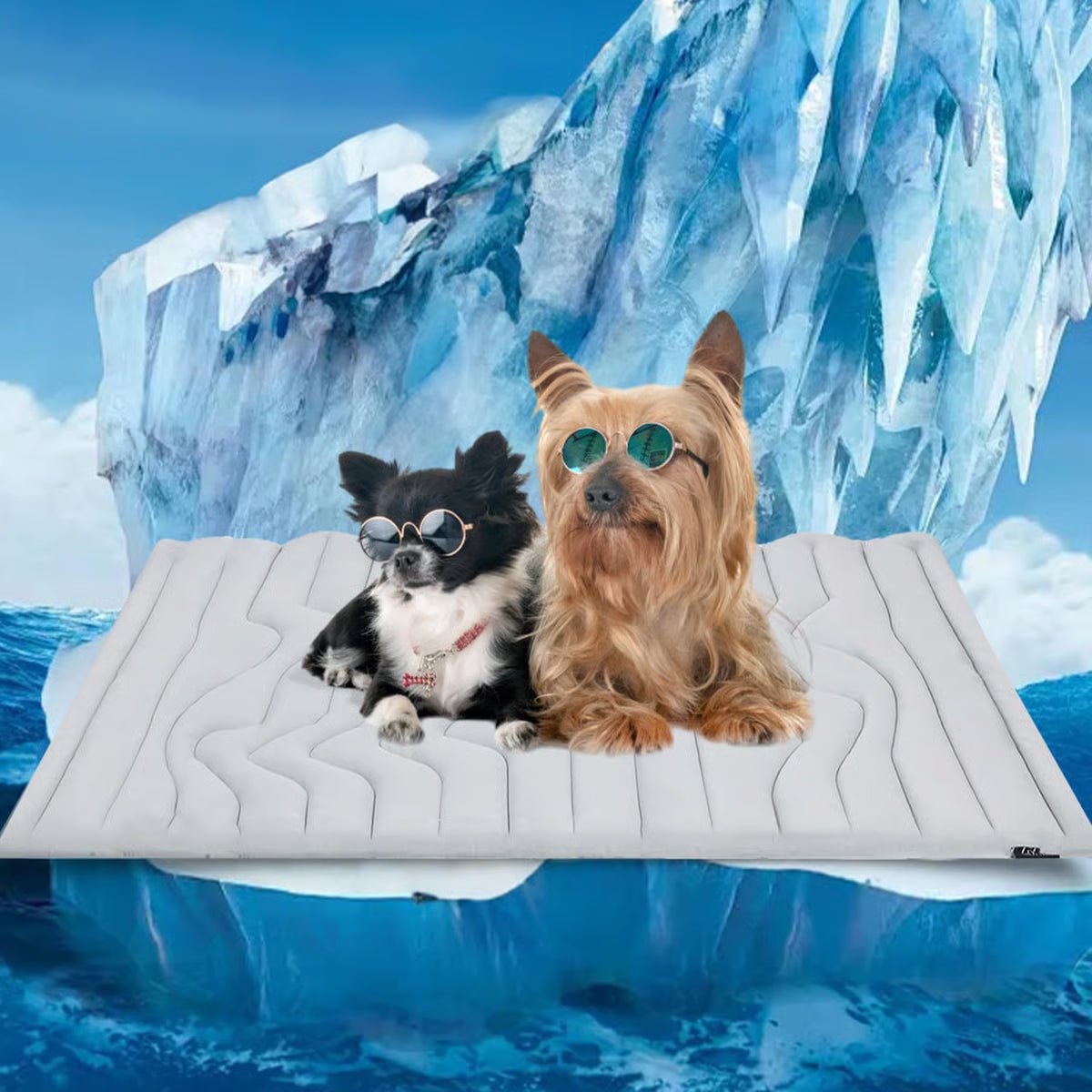 Koelmat voor Honden - Verkoelende Mat in 4 Kleuren en 6 Maten, Eenvoudig te Reinigen - Hebbr