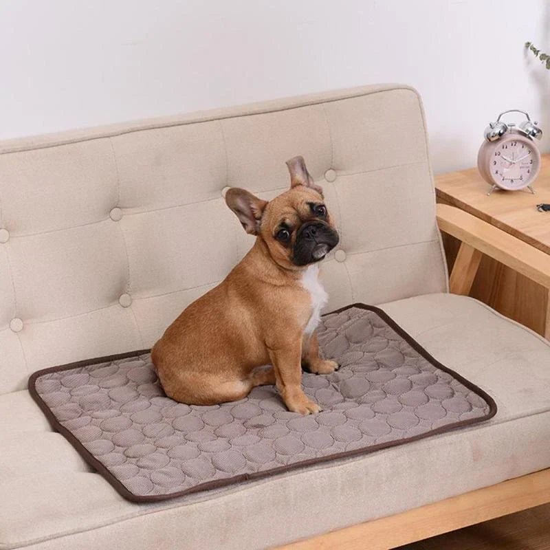 Koelmat voor Honden - Verkoelende Mat in 4 Kleuren en 6 Maten, Eenvoudig te Reinigen - Hebbr