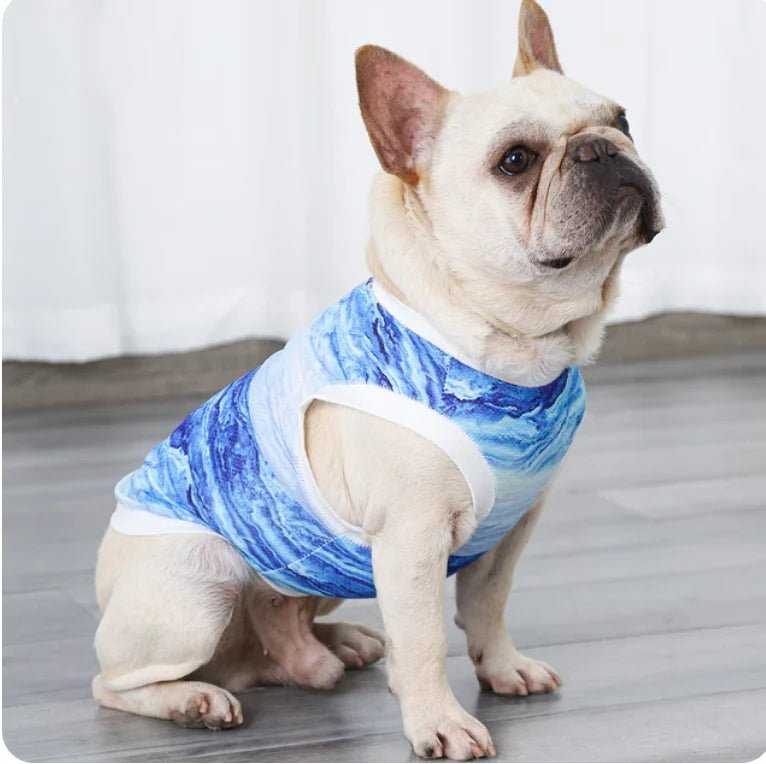 Koelvest voor honden - Ademend en comfortabel, ideaal voor warme dagen - Hebbr