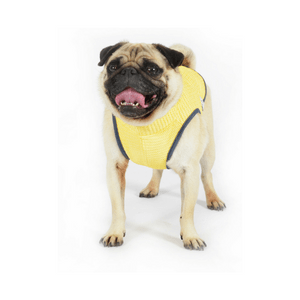 Koelvest voor honden - Ademend en comfortabel, ideaal voor warme dagen - Hebbr