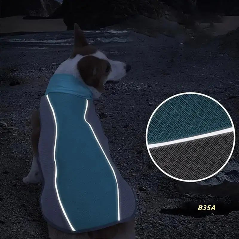 Koelvest voor Honden en Katten - Ademend Polyester, Reflecterend, Perfect voor Zomeractiviteiten - Hebbr