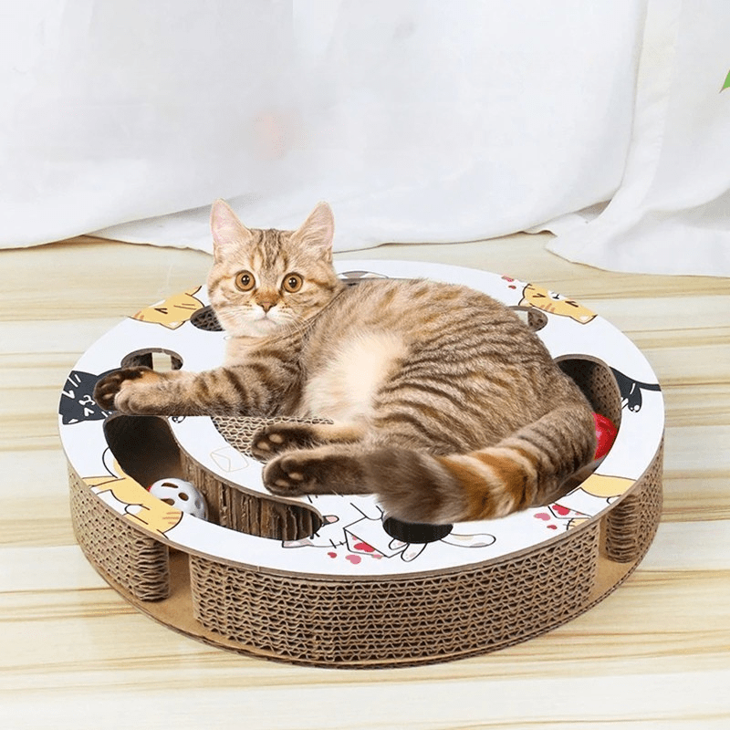 KratzKreis 2 - in - 1 Krabpaal met Ballenbaan - Interactief Speelgoed voor Katten - Hebbr