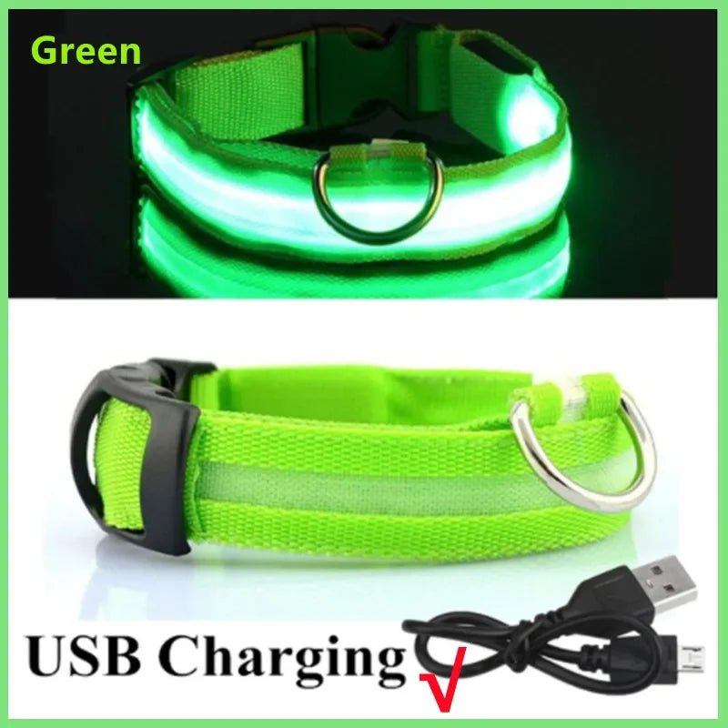 Lumo Lichtgevende Halsband Hond | USB Oplaadbaar, 3 Lichtmodi, Veiligheid - Hebbr