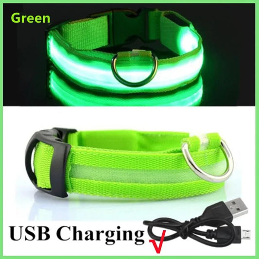 Lumo Lichtgevende Halsband Hond | USB Oplaadbaar, 3 Lichtmodi, Veiligheid - Hebbr