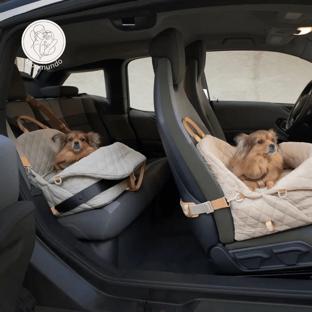 Luxe 2 - in - 1 Transporttas en Autostoel voor Honden en Katten – Veilig en Comfortabel - Hebbr
