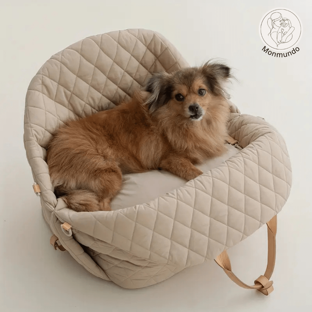 Luxe 2 - in - 1 Transporttas en Autostoel voor Honden en Katten – Veilig en Comfortabel - Hebbr