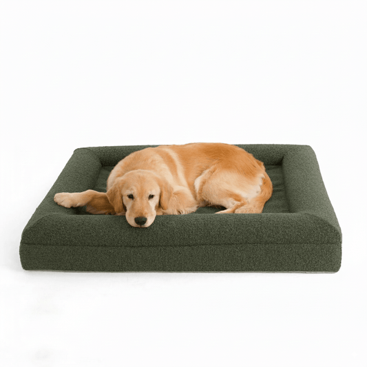 Luxe Orthopedisch Hondenbed van Geheugenfoam – Waterdicht & Wasbaar Hondenbed - Hebbr