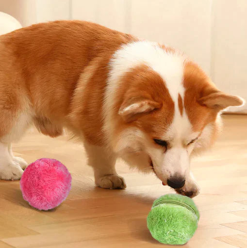 Magic rolling ball - Vermaakt jouw hond urenlang."