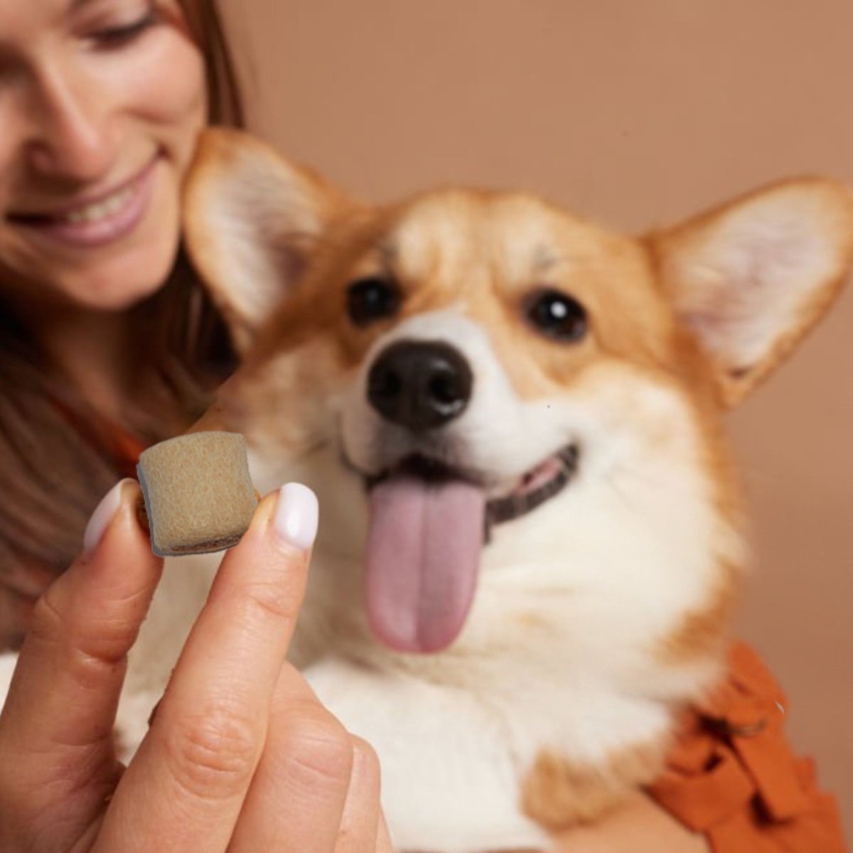 Mergkoekjes Zalm - Hebbr