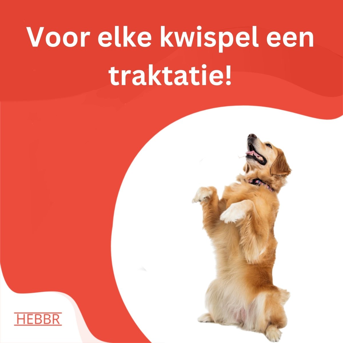 Mergkoekjes Zalm - Hebbr