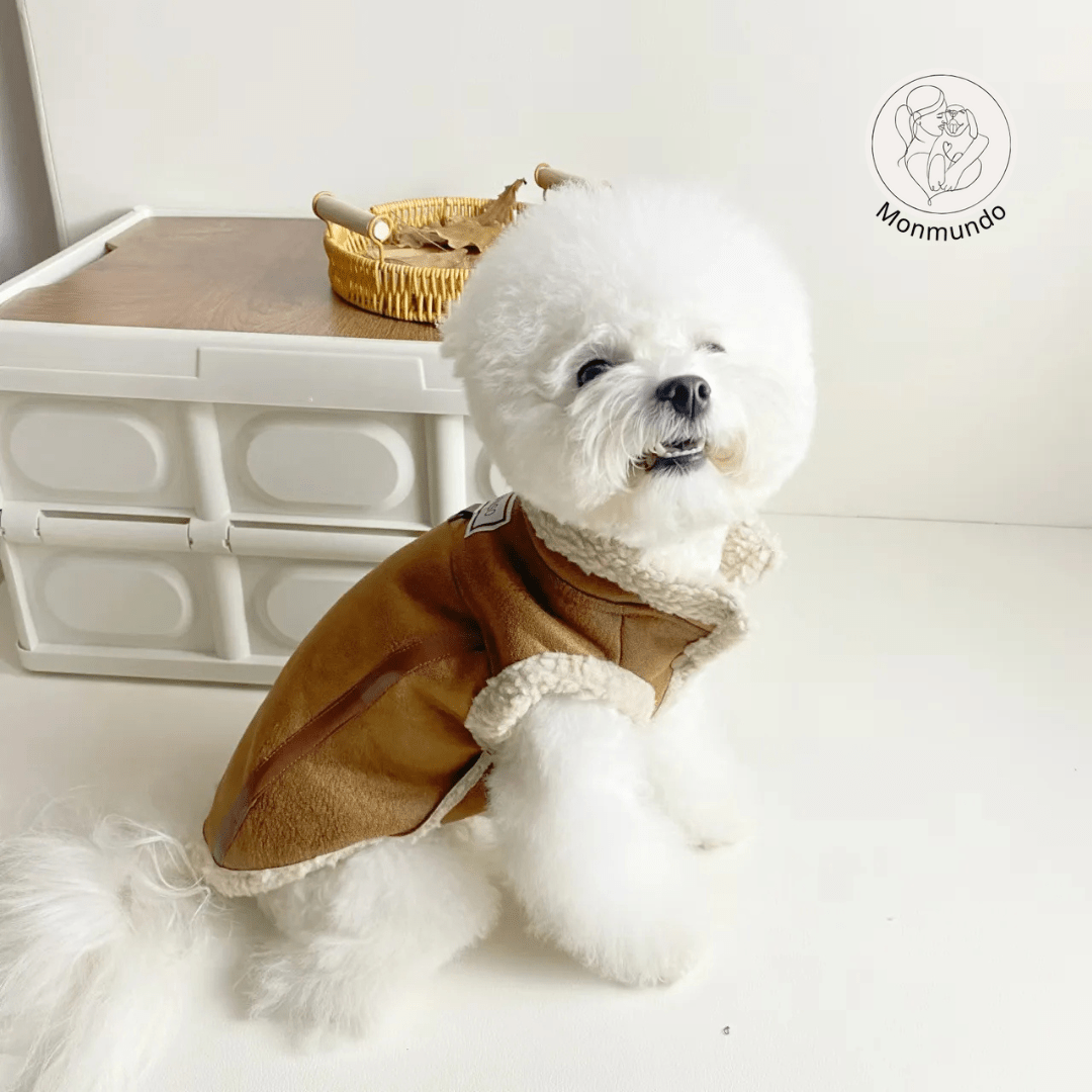 Mouwloos Fluwelen Vest voor Kleine Honden - Warm, Stylish en Comfortabel - Hebbr