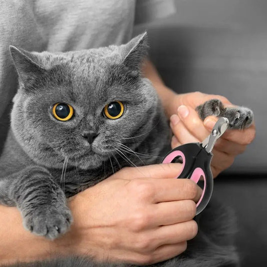 Nagelknipper voor Katten en Kleine Honden met Precisiegat en Antislip Handgreep - Roestvrijstalen Bladen - Hebbr